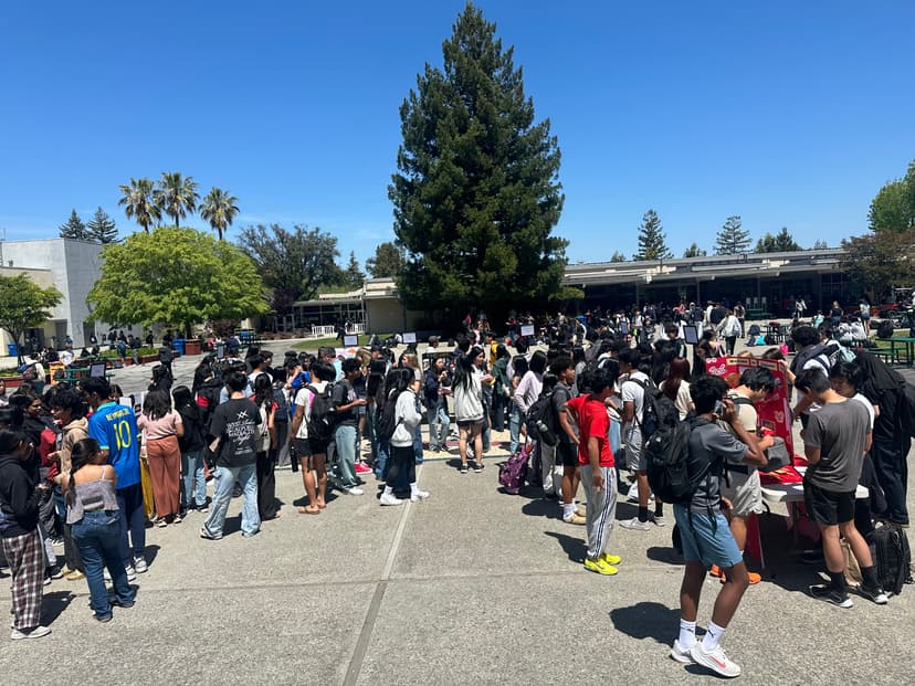 Multicultural Club Festival