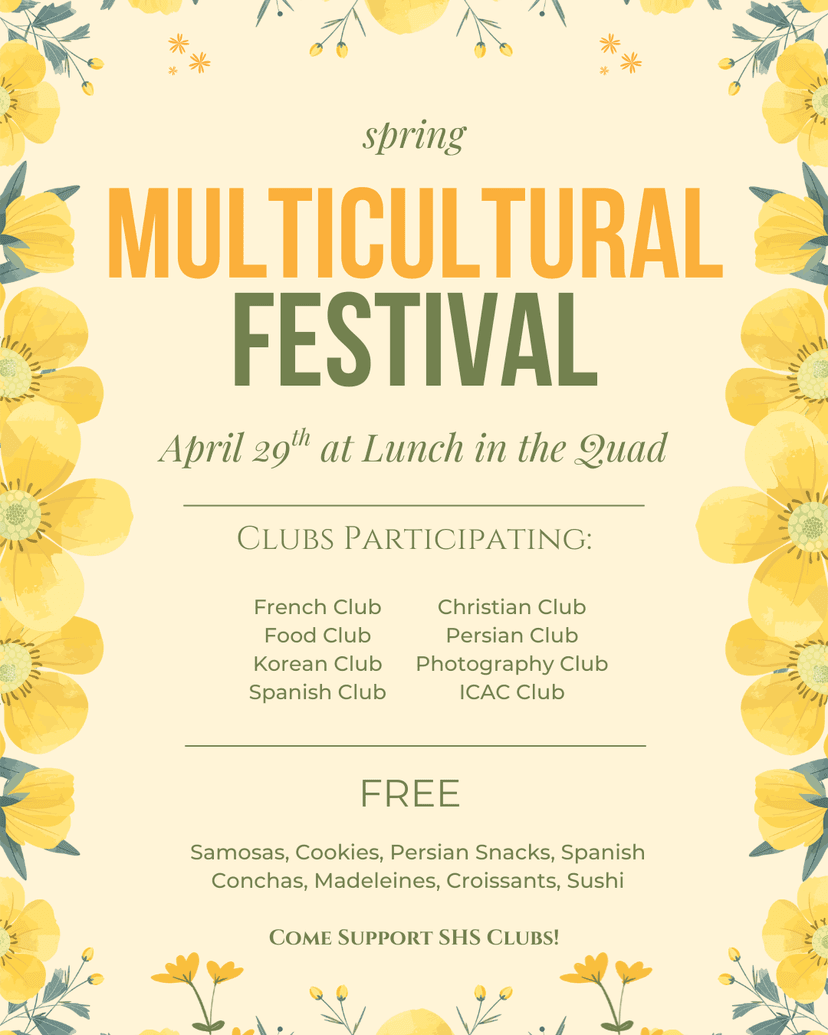 Multicultural Club Festival